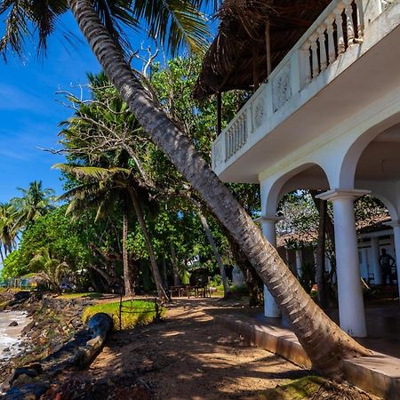 Palm Villa Mirissa Hotel&Spa Dış mekan fotoğraf