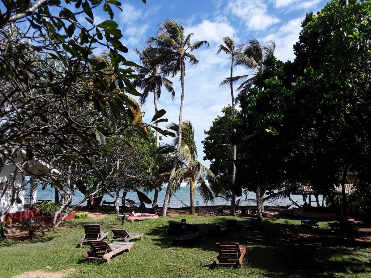Palm Villa Mirissa Hotel&Spa Dış mekan fotoğraf