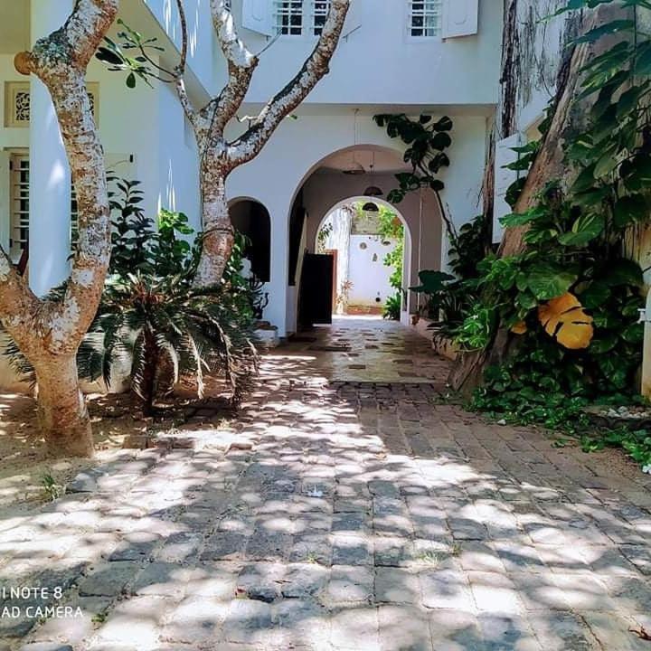Palm Villa Mirissa Hotel&Spa Dış mekan fotoğraf