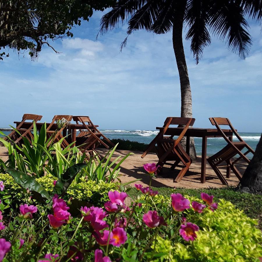 Palm Villa Mirissa Hotel&Spa Dış mekan fotoğraf