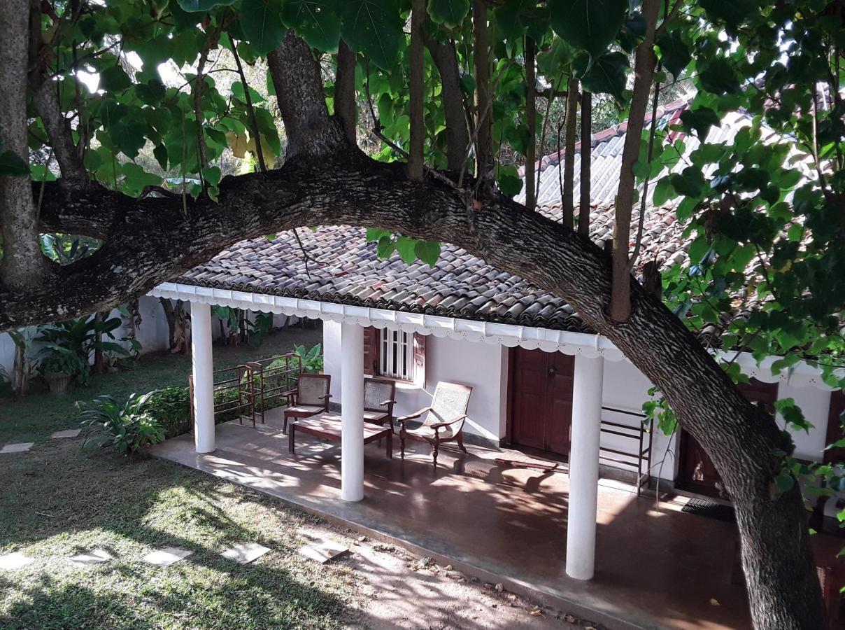 Palm Villa Mirissa Hotel&Spa Dış mekan fotoğraf