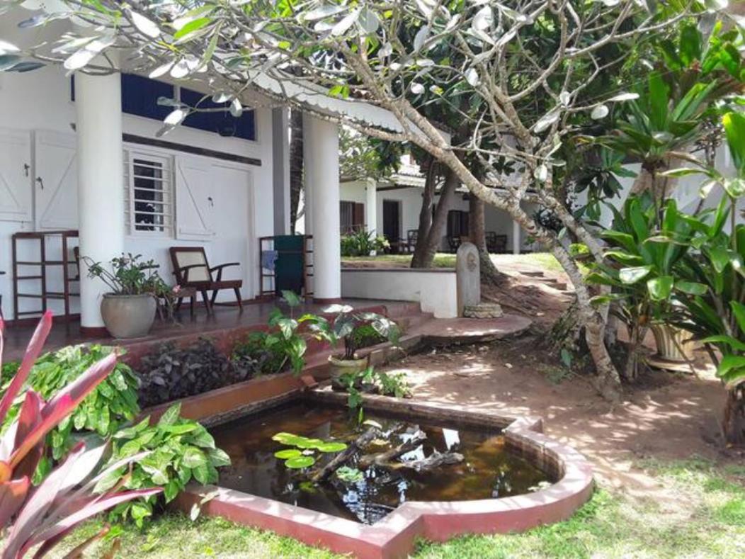 Palm Villa Mirissa Hotel&Spa Dış mekan fotoğraf