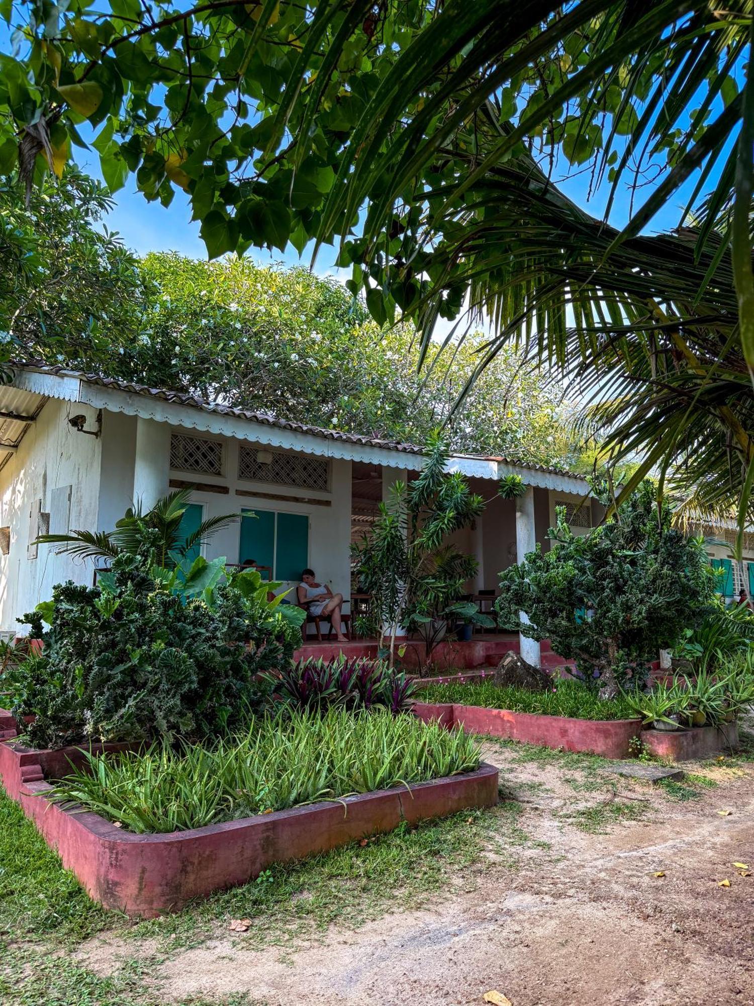 Palm Villa Mirissa Hotel&Spa Dış mekan fotoğraf